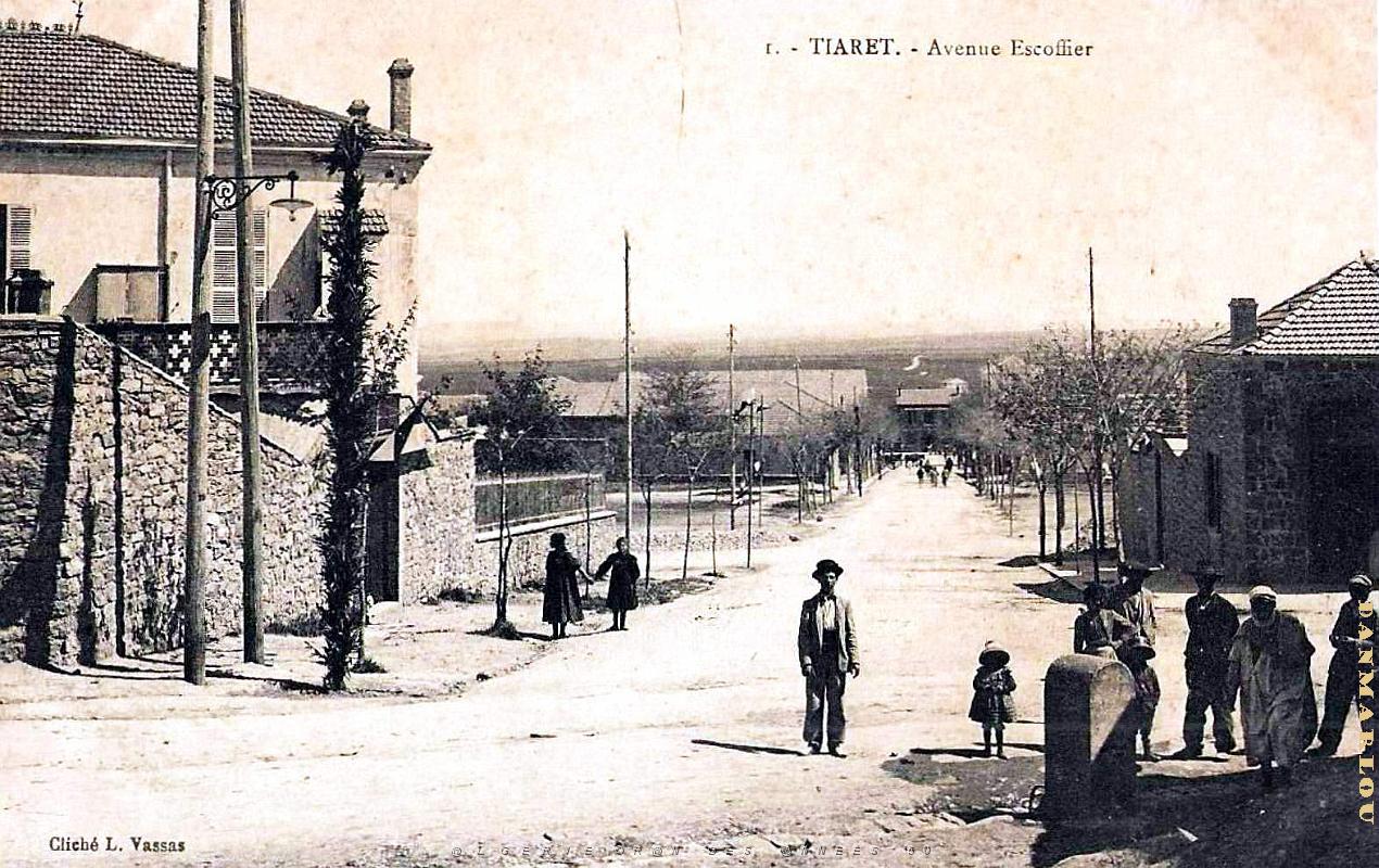 2802- Tiaret - Avenue Escoffier - - 1915.jpg
